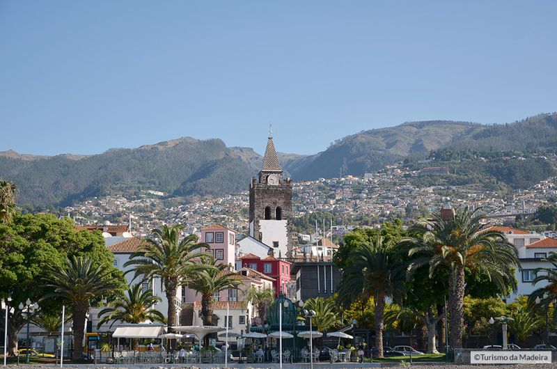 Cathedral-of-Funchal5тФм╨╣Francisco-Correia